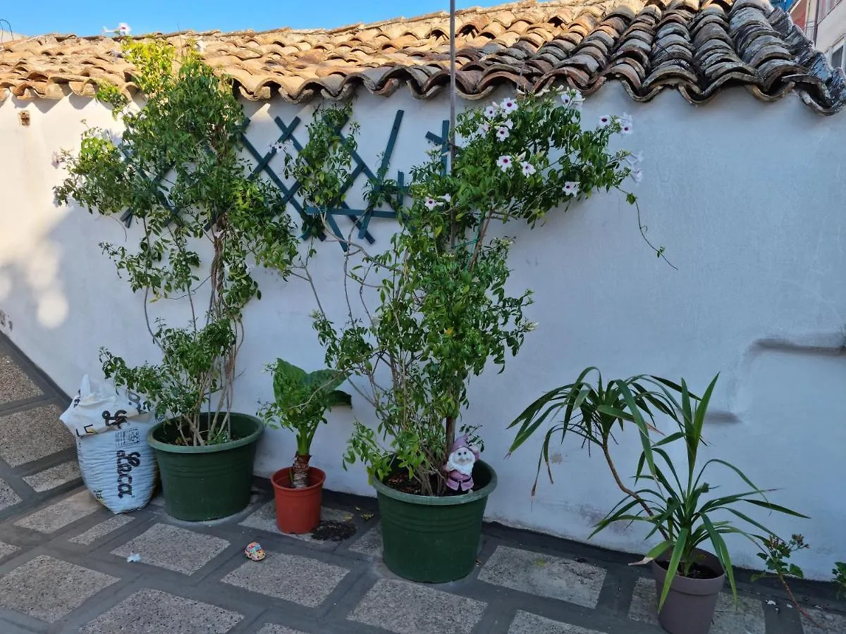 Green Palace Brindisi 0*,  Italia