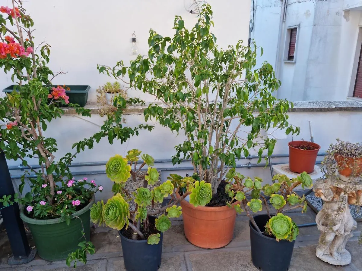 Green Palace Brindisi Casa vacanze