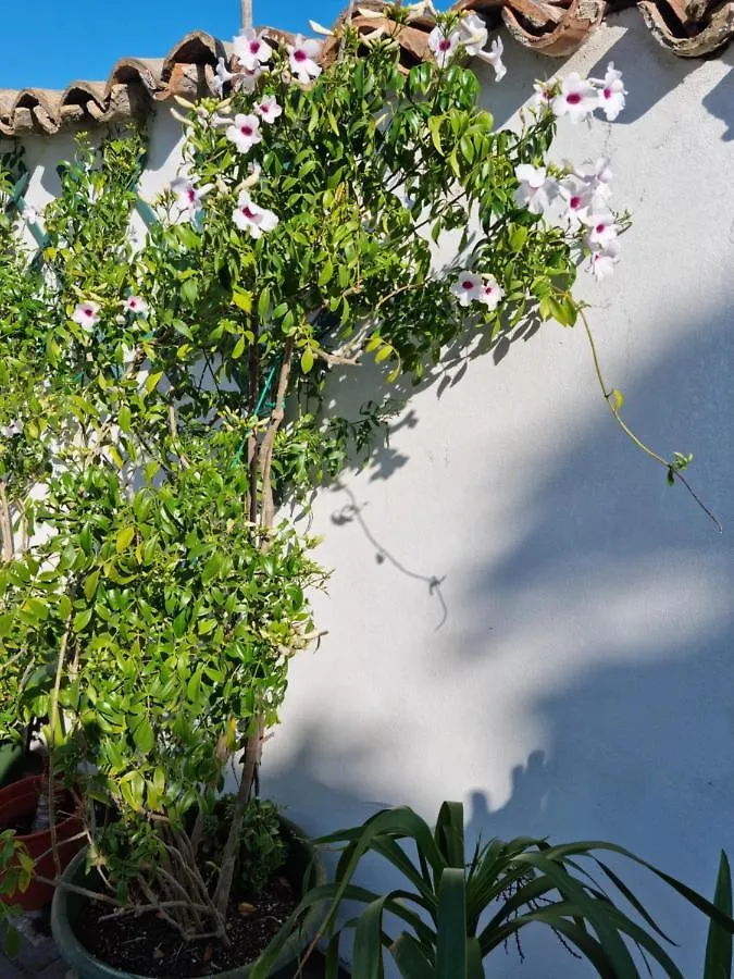 Casa vacanze Green Palace Brindisi Italia